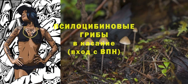 соль курить ск Алексеевка