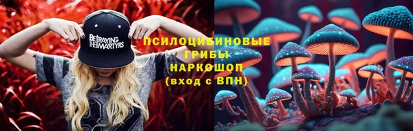 соль курить ск Алексеевка