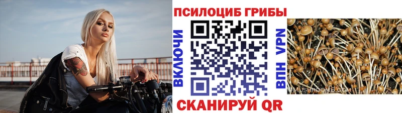 Псилоцибиновые грибы мухоморы даркнет сайт Моздок